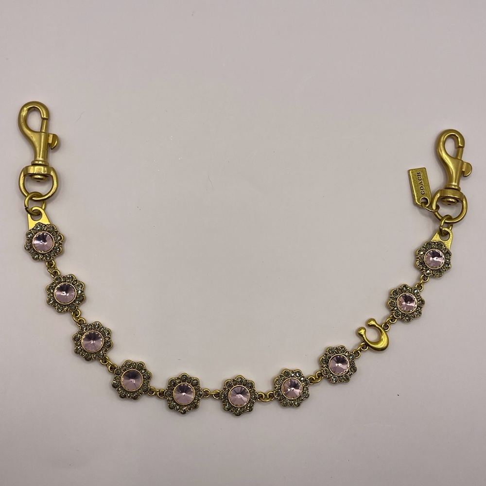 Coach Bag Chain